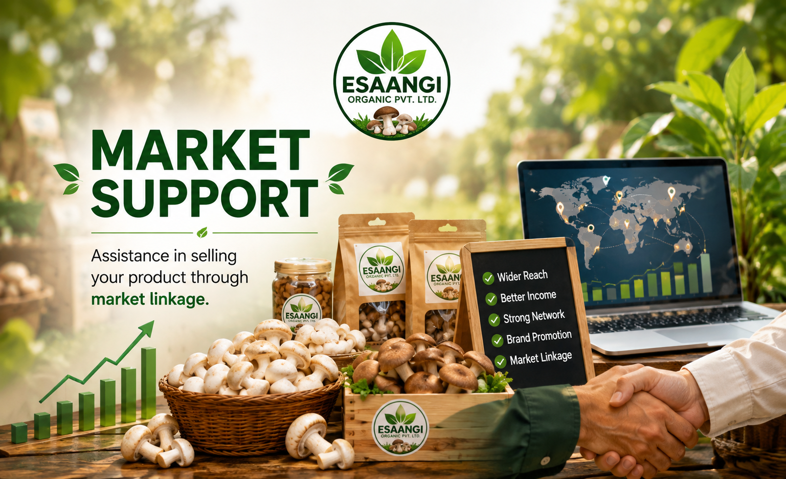 Market Support